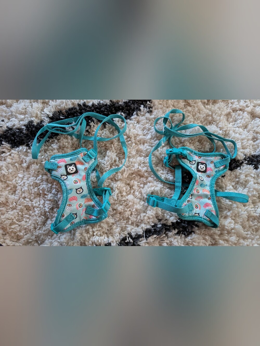 Vibrant Life Car Harnesses And Matching Leashes